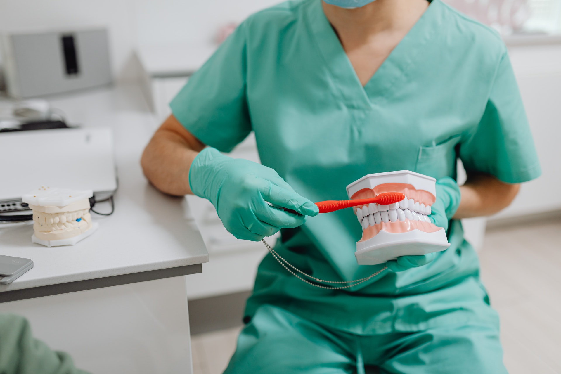 a dentist showing how to brush a teeth with a model scale