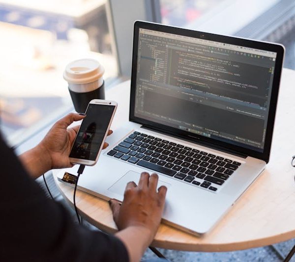 a software developer