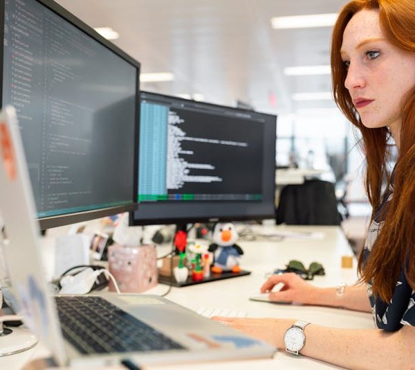 a software developer